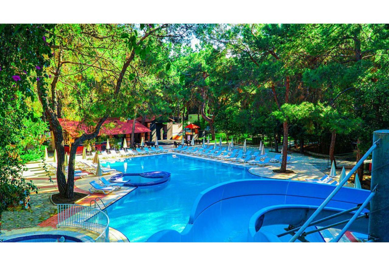 Festival Nature Hotel Kemer Exteriör bild