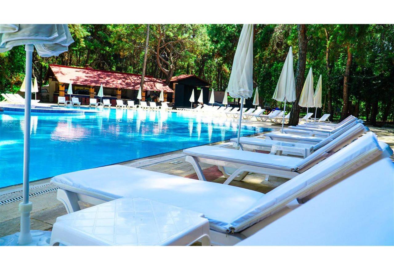 Festival Nature Hotel Kemer Exteriör bild